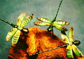 leather dragonflies ©1997