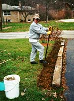 JImmy plants Uncle Lester's Easter Lily bulbs!