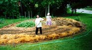 Jimmy putting straw on the garden.