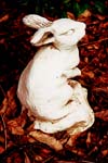 The little rabbit sculpture in Leslie and Bob's yard.