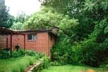 tree that fell on our house.