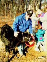 Larry shows us his cow Dorothy.