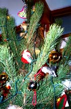 Dad's squirrel perches in the top of Annie the tree.