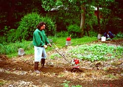 Jimmy tillinghe big gardenSusan Shie 2001.