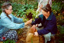 Kate and Laura cutting flowers in my garden.